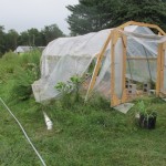 IMG_4044 IMG_4044